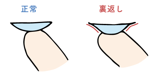 コンタクトの裏表