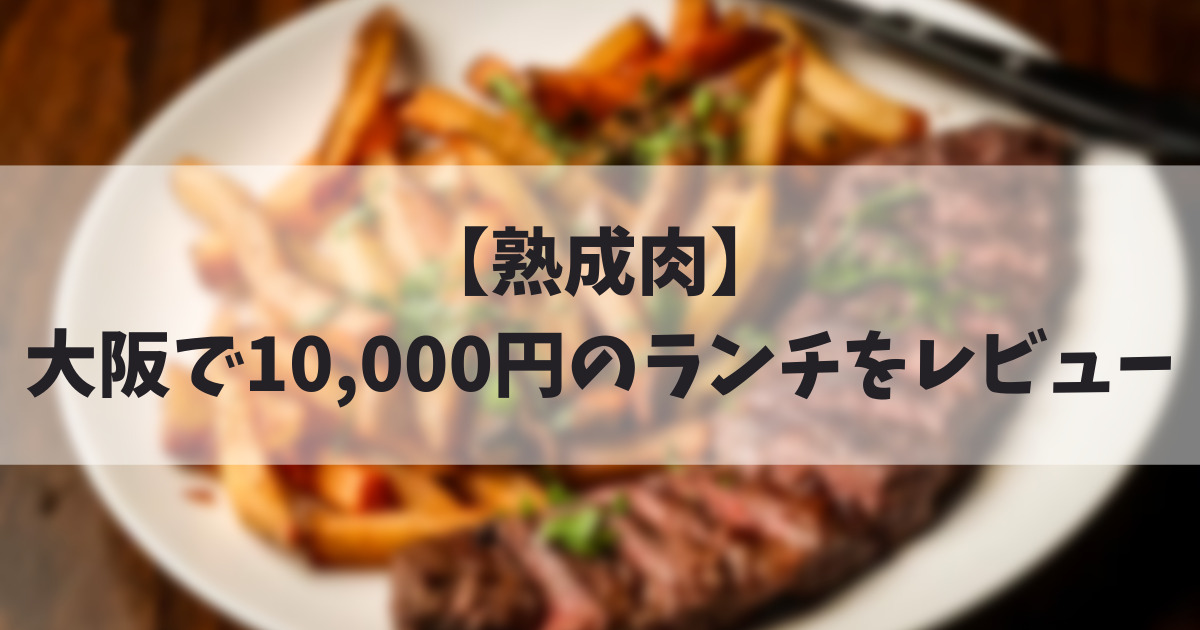 【熟成肉】 大阪で10,000円のランチをレビュー